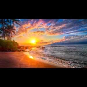 Meet your Posher, Jeanna